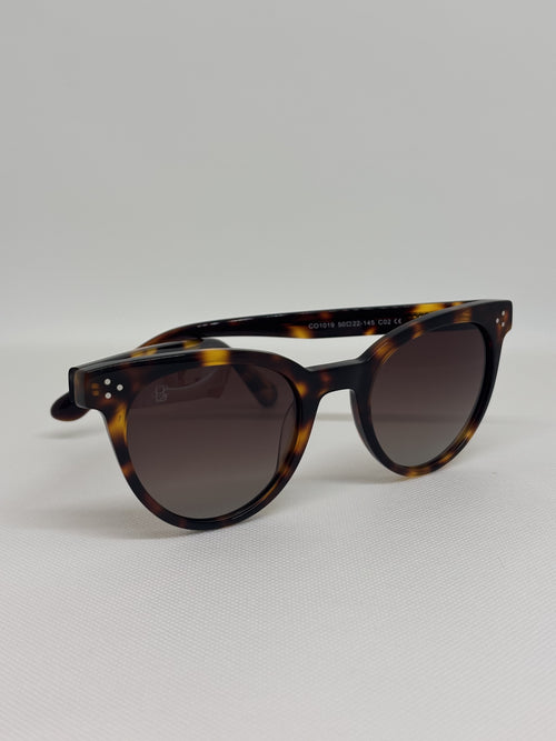 Bianni 1019 — C2 — vista complementaria — Luvis 20260911-305